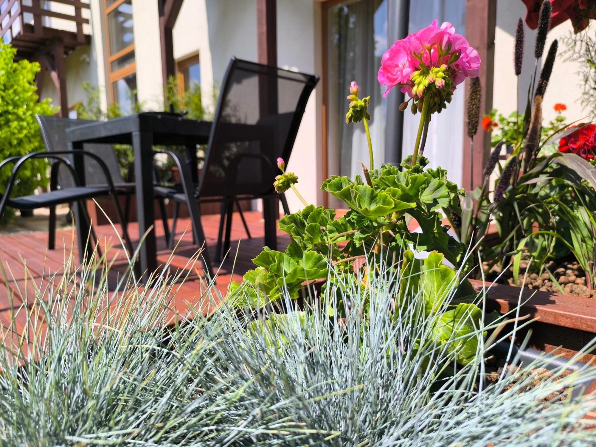 Flip-Flops Apartment Jurmala With Free Parking Екстериор снимка